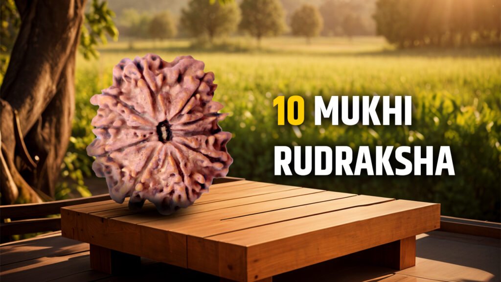 10 Mukhi Rudraksha