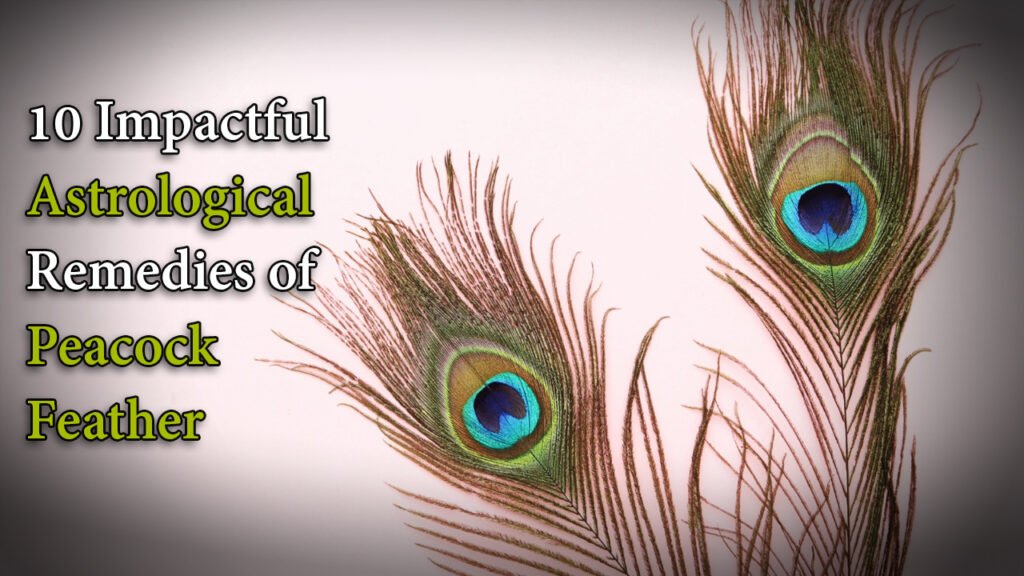 10 impactful astrological remedies of peacock feather