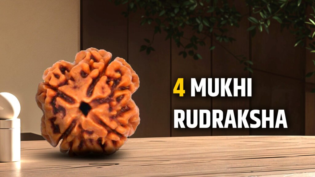 4 Mukhi Rudraksha