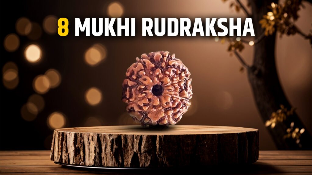 8 Mukhi Rudraksha