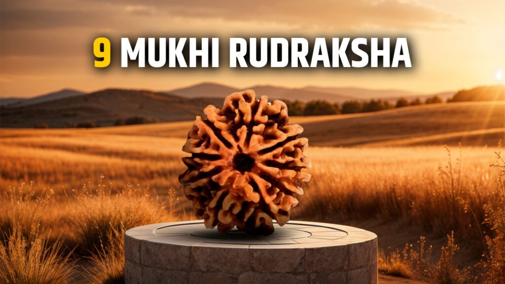 9 Mukhi Rudraksha