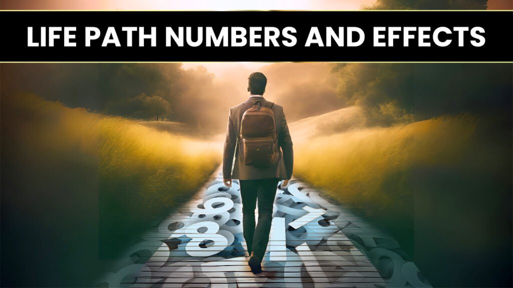 Life Path Numbers and Effects