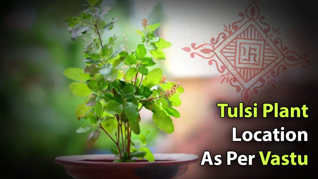 Tulsi Plant Location As Per Vastu